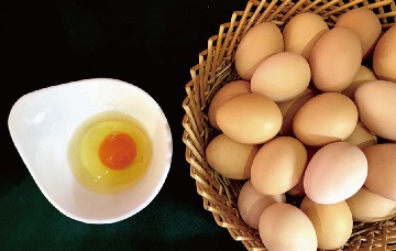 【長田動態(tài)】“長田樂享濟蛋”購買指南來啦